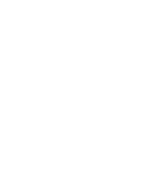 File:MetatronCubeW.png